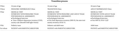 The process of transition from pediatric to adult healthcare services for nephrological patients: Recommendations vs. reality—A single center experience